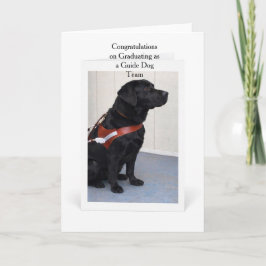 Guide Dog Graduation Congratulations Card Kort