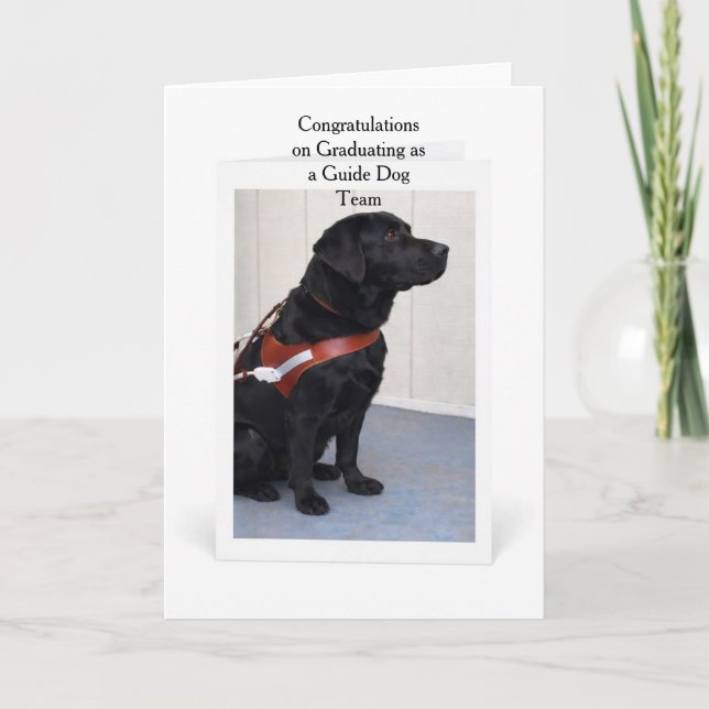 Guide Dog Graduation Congratulations Card Kort (Framsida)