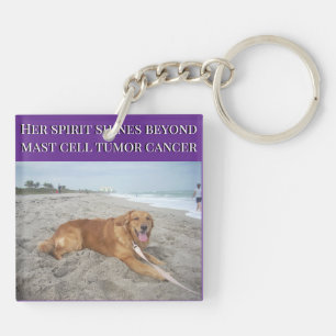 Guided By Love, Beyond Cancer