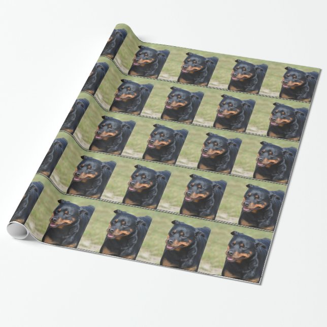 Guileless Rottweiler Presentpapper (Utrullad)