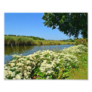 Guilford Marsh Photo Print Fototryck
