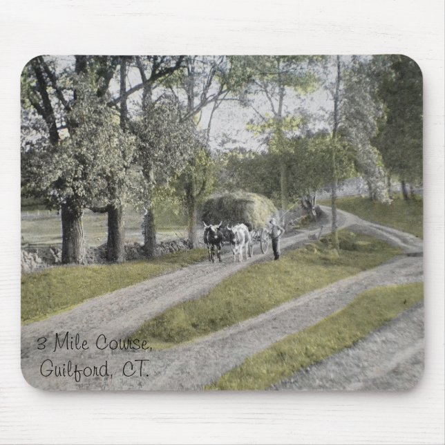 Guilford Mousepad Musmatta (Framsidan)