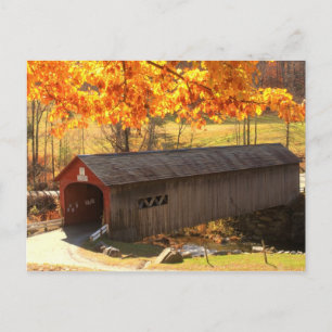 Guilford Vermont täckte brons höst Vykort