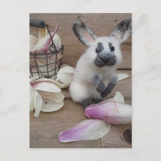 Guilty rabbit vykort