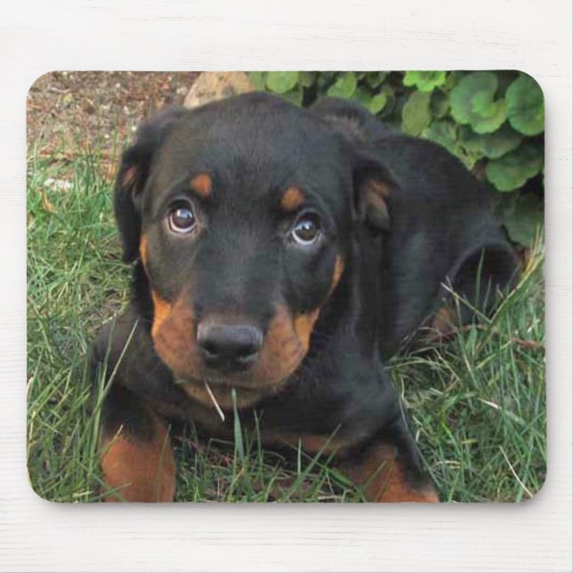 Guilty Rottweiler Puppy Mouse Pad Musmatta (Framsidan)