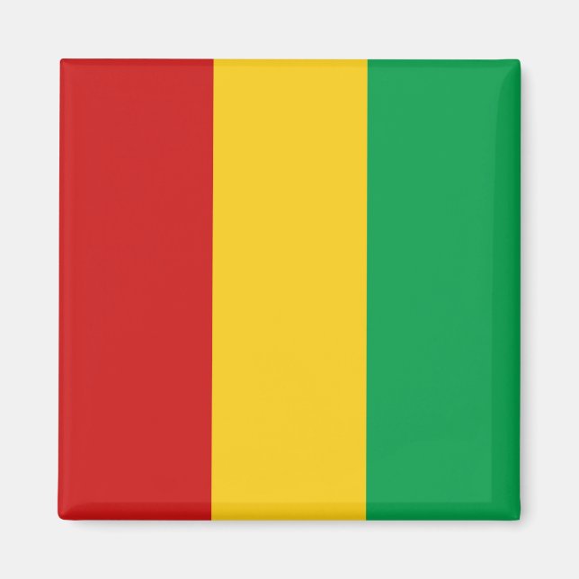 Guinea-Conakry Flagga Magnet (Framsidan)