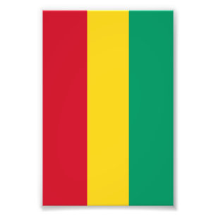 Guinea flagga fototryck
