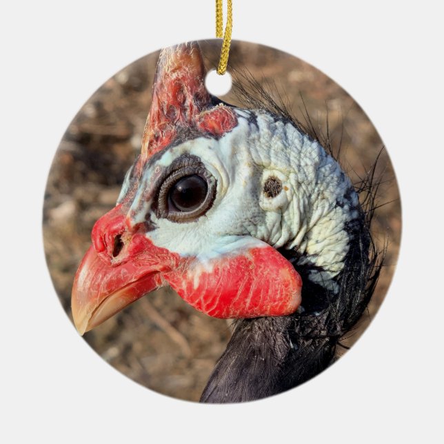 Guinea Fowl Ceramic Ornament (Framsidan)