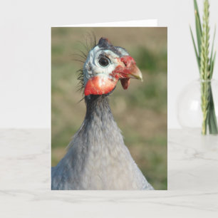Guinea Fowl Kort