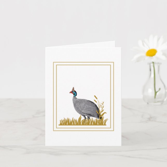 Guinea Fowl Kort (Liten växt)
