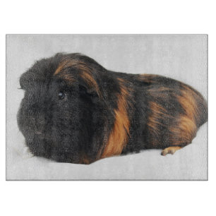 Guinea Gris