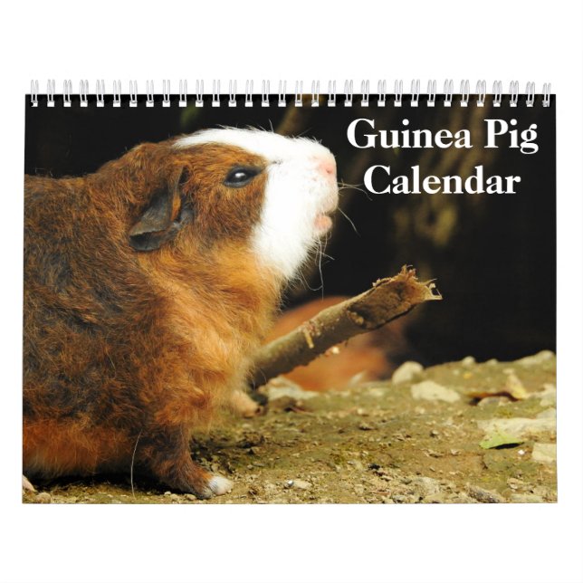 Guinea Gris 2024 Kalender (Omslag)