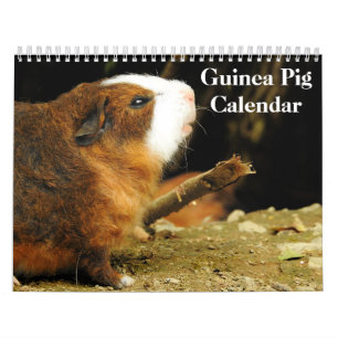 Guinea Gris 2024 Kalender
