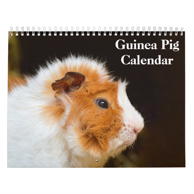 Guinea Gris 2025 Kalender (Omslag)