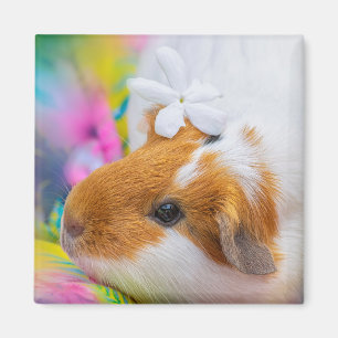 Guinea-gris-5924328 Magnet