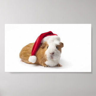Guinea Gris Art Poster