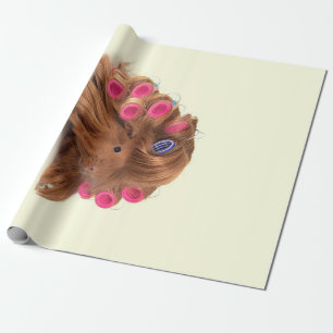 Guinea Gris Beviljande av Funny Curly Guinea Gri Presentpapper
