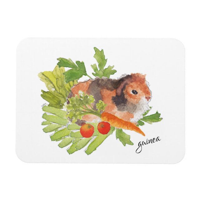 Guinea Gris Carrot Salad Watercolor Magnet (Horisontell)