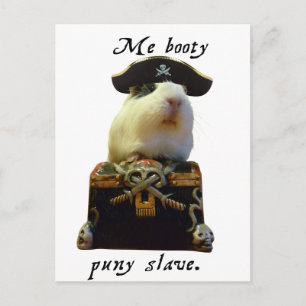 Guinea Gris Funny Pirat Vykort