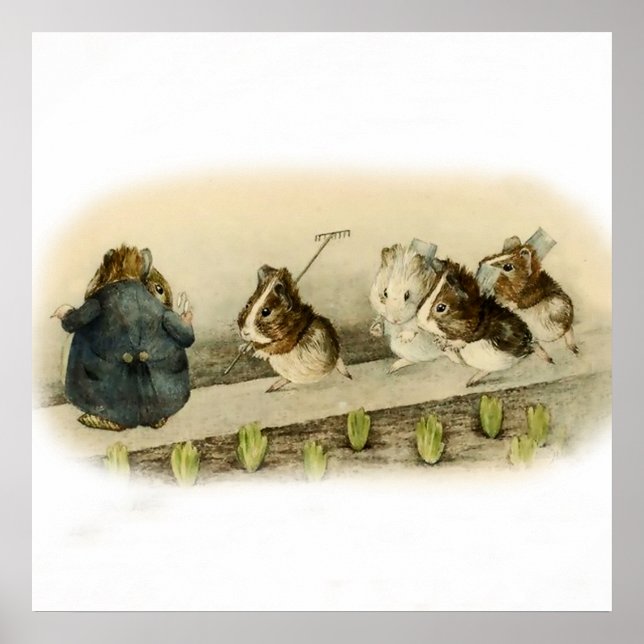 ’Guinea Gris Garden’ av Beatrix Potter Poster (Framsidan)