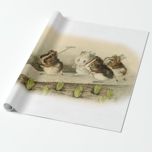 ’Guinea Gris Garden’ av Beatrix Potter Presentpapper