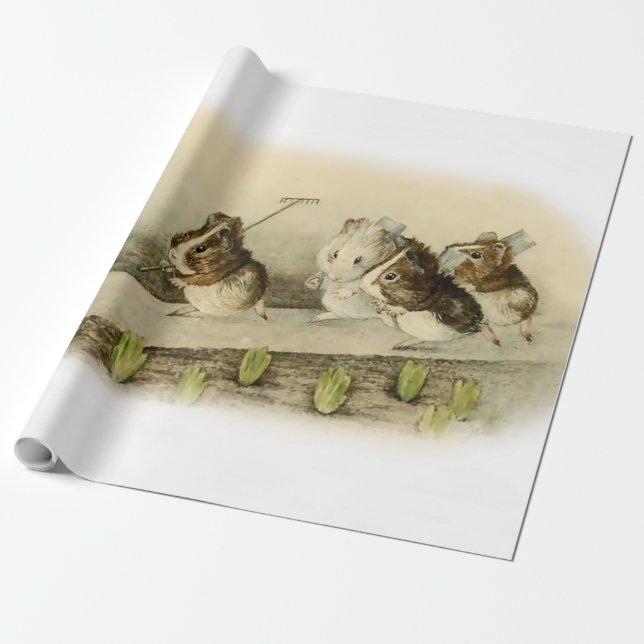 ’Guinea Gris Garden’ av Beatrix Potter Presentpapper (Utrullad)