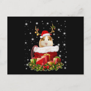 Guinea Gris Gift God jul Guinea Gris Vykort