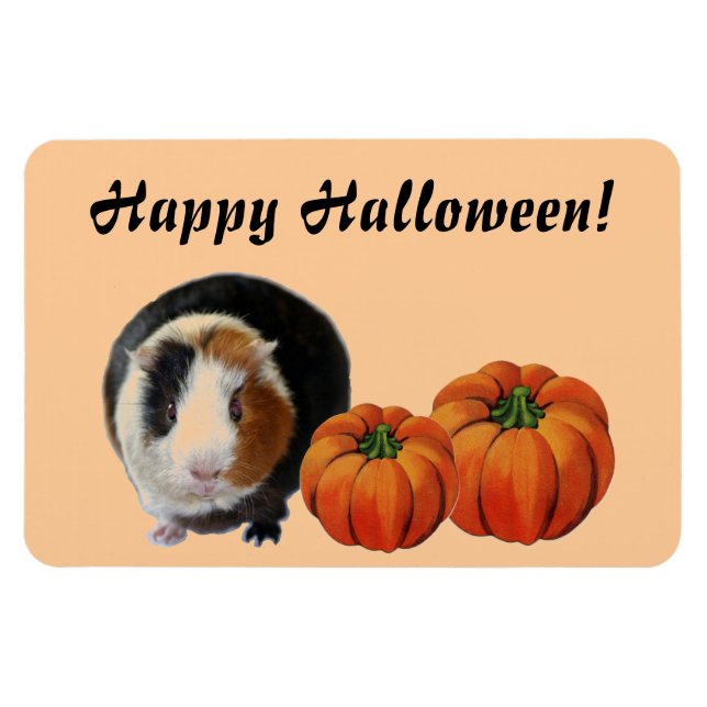 Guinea Gris Halloween Magnet (Horisontell)
