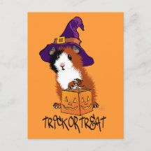 Guinea Gris Halloween
