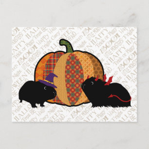 Guinea Gris Halloween Vykort