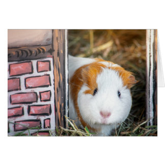 Guinea gris hälsningskort
