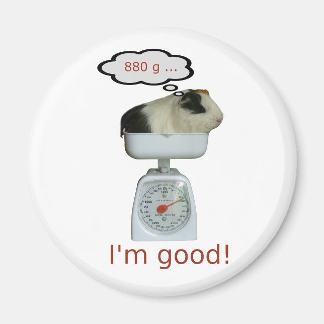 Guinea Gris Health Magnet (Framsidan)