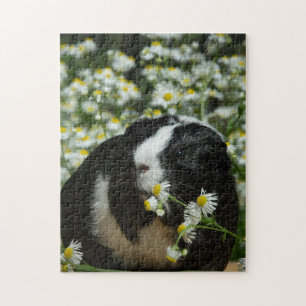 Guinea Gris i Blomsterträdgård Pussel