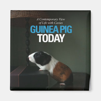 Guinea Gris i dag Photo Magnet