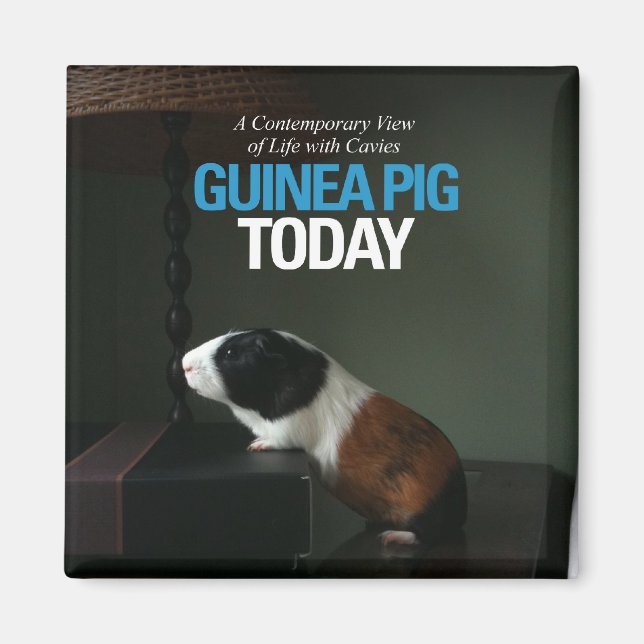 Guinea Gris i dag Photo Magnet (Framsidan)
