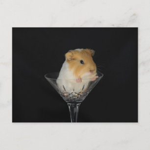 Guinea gris i ett vin-glas vykort