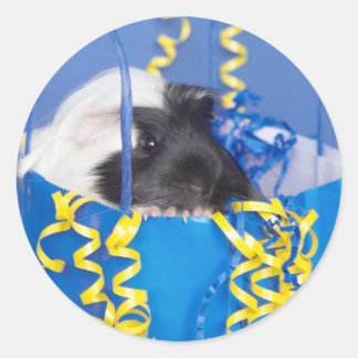 Guinea Gris i Party Bag Stickers Runt Klistermärke