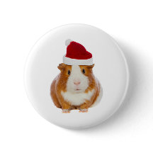 Guinea Gris i tomtens hatt