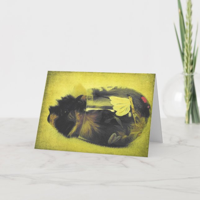 Guinea Gris i Vin Glass Kort (Framsida)