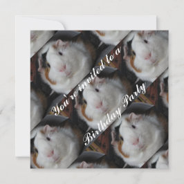 Guinea gris inbjudan