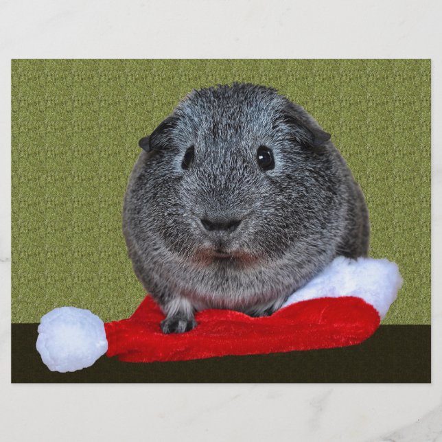 Guinea-Gris-jul (Framsida)