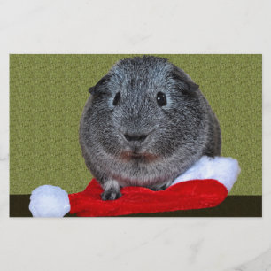 Guinea-Gris-jul Brevpapper