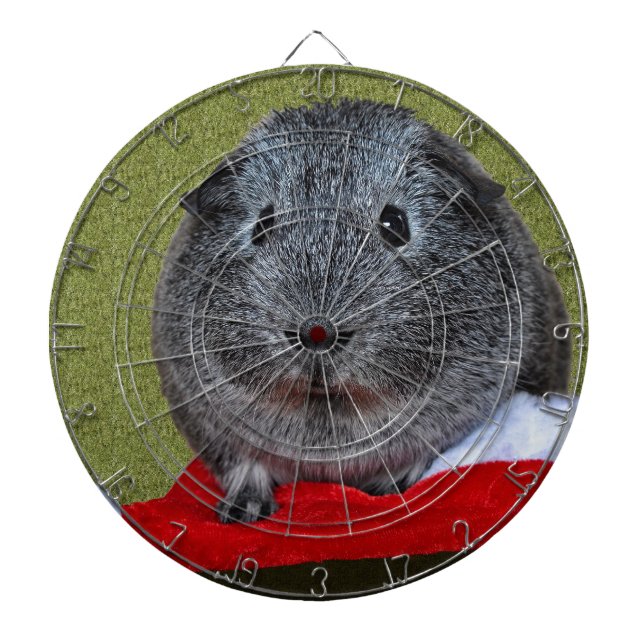 Guinea-Gris-jul Darttavla (Framsidan)