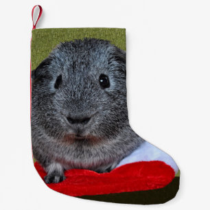 Guinea-Gris-jul Liten Julstrumpa