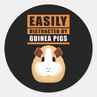 Guinea Gris | Lättspridd av Guinea Grisar Runt Klistermärke