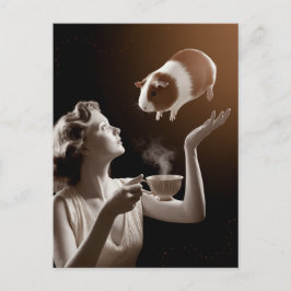 Guinea Gris Magick Vykort