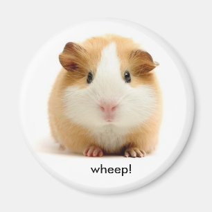 Guinea Gris magnet