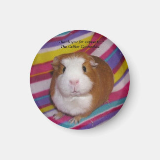 Guinea Gris Magnet #3