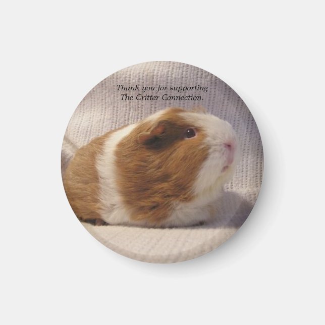 Guinea Gris Magnet #5 (Framsidan)