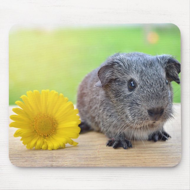 Guinea Gris med blomstermusknapp Musmatta (Framsidan)